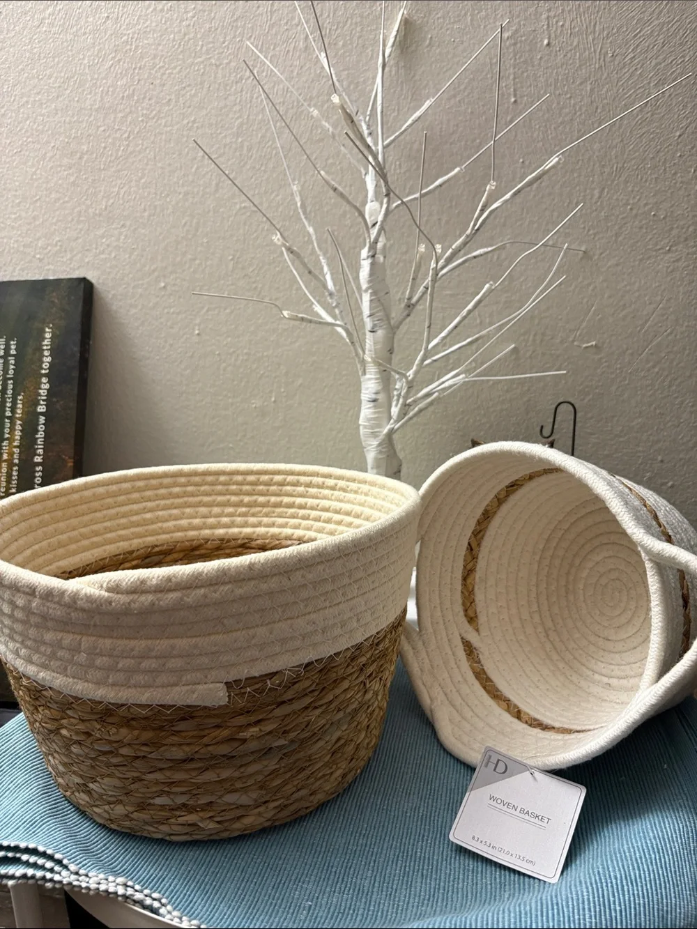 Neutral Two-Tone Woven Storage Basket - Set of 2